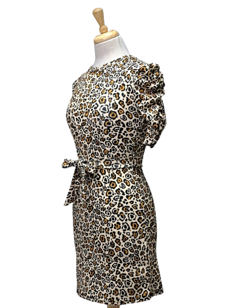 Inside Ladies Leopard Print Dress - Animal Print