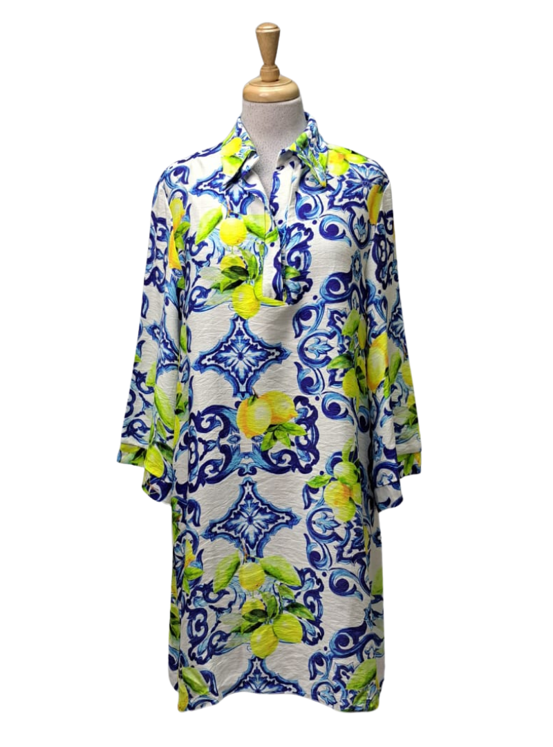 Made In Italy Lemon Printed Vivianne Ladies Dress - Blue