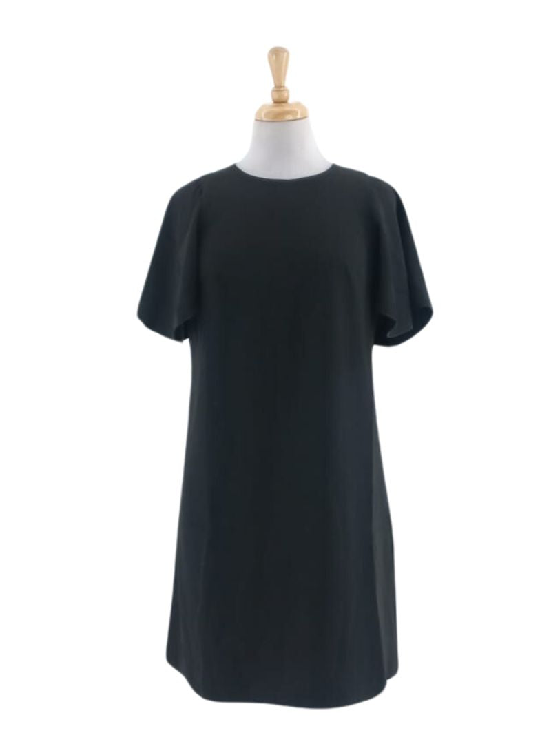 BUTTERFLY SLEEVE BASIC DRESS