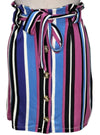 Inside Ladies Striped Buttoned Skirt - Purple/Black/Blue